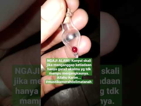 Aglaonema stok super, banyak harga gebrakan !!!