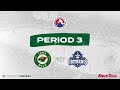 Iowa Wild vs Milwaukee Admirals Game Highlights | 2.28.2025