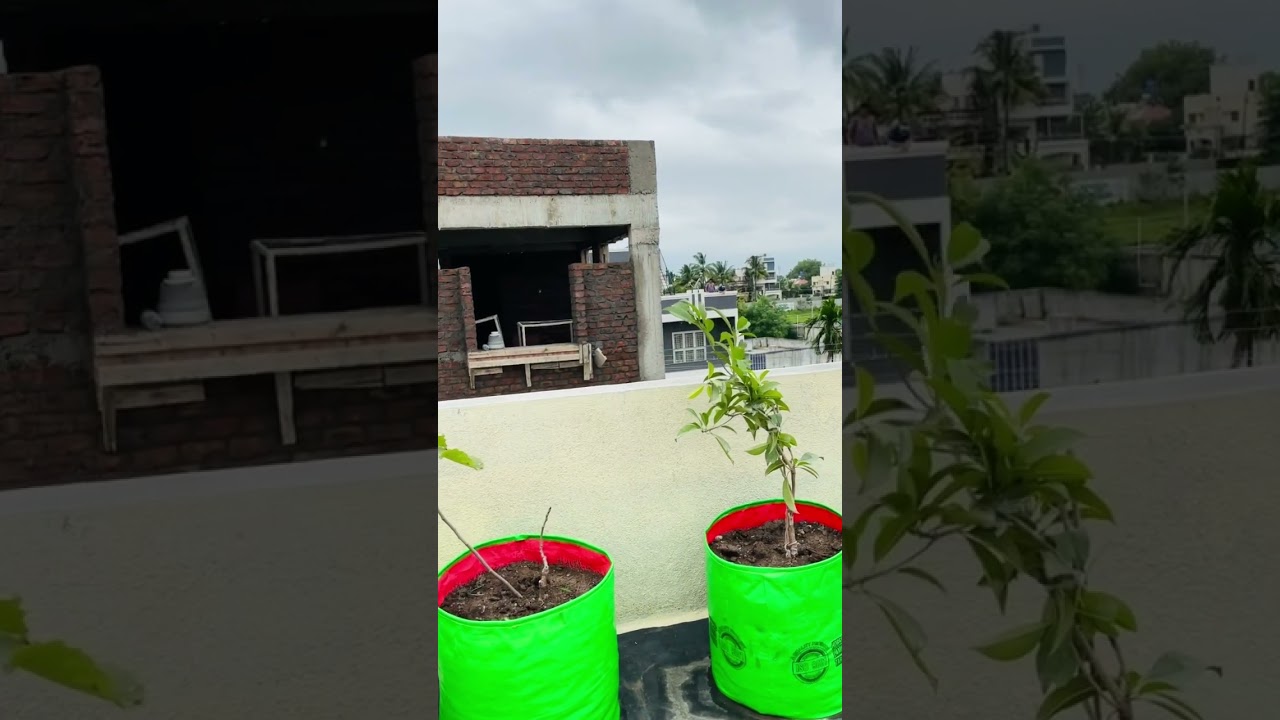 Terrace gardening grow bag plants install video || RM gardens 