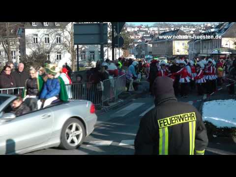 Lindwurm der Freude 2013 - Karnevalsumzug in Arnsberg (Full-HD)