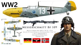 Unlocking the Secrets of Nazi Wonder Wings: Germany's WW2 Aircraft Revolution | MESSERSCHMITT BF 109