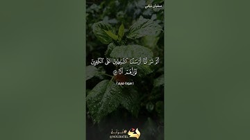 ما تيسر من سورة مريم بصوت القارئ (سفيان ذيابي)