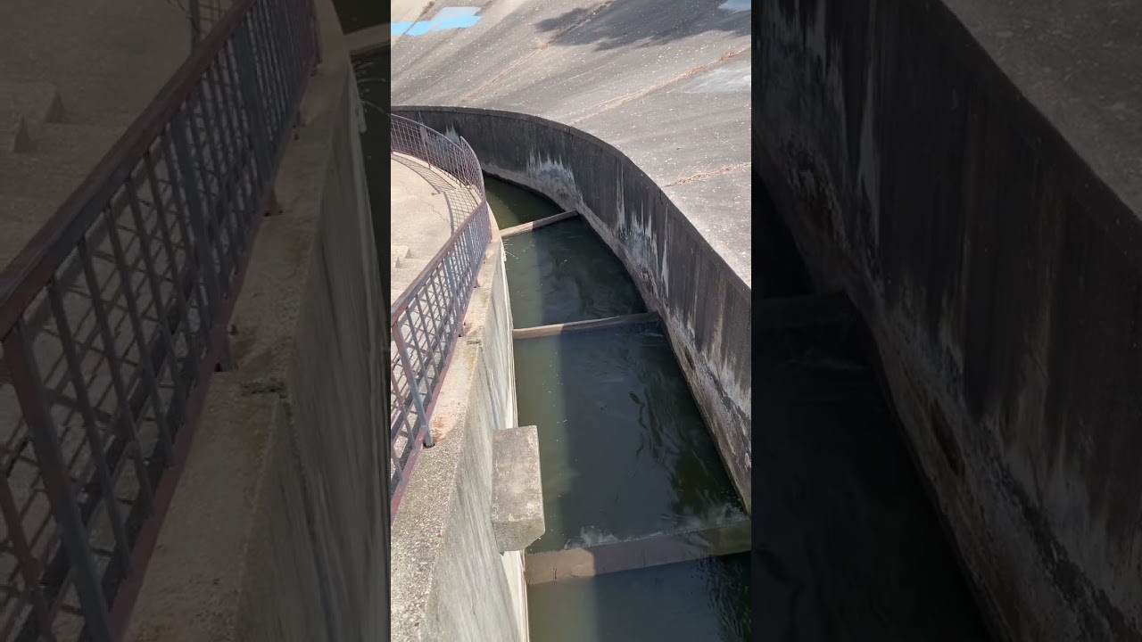 North Lansing Dam And Brenke Fish Ladder/ Lansing, Michigan