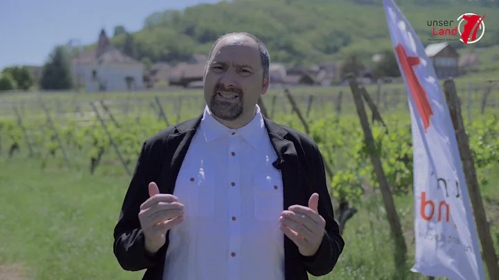 CeA 2021 - Clip de campagne canton de Slestat : Th...