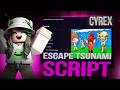 Escape Tsunami For Brainrots Script *NO KEY* - TP TO END, DUPE, ARCADE FARM, AUTO FARM