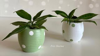 Cute Mini Planter DIY / Plastic Bottle Craft Idea | Priti Sharma