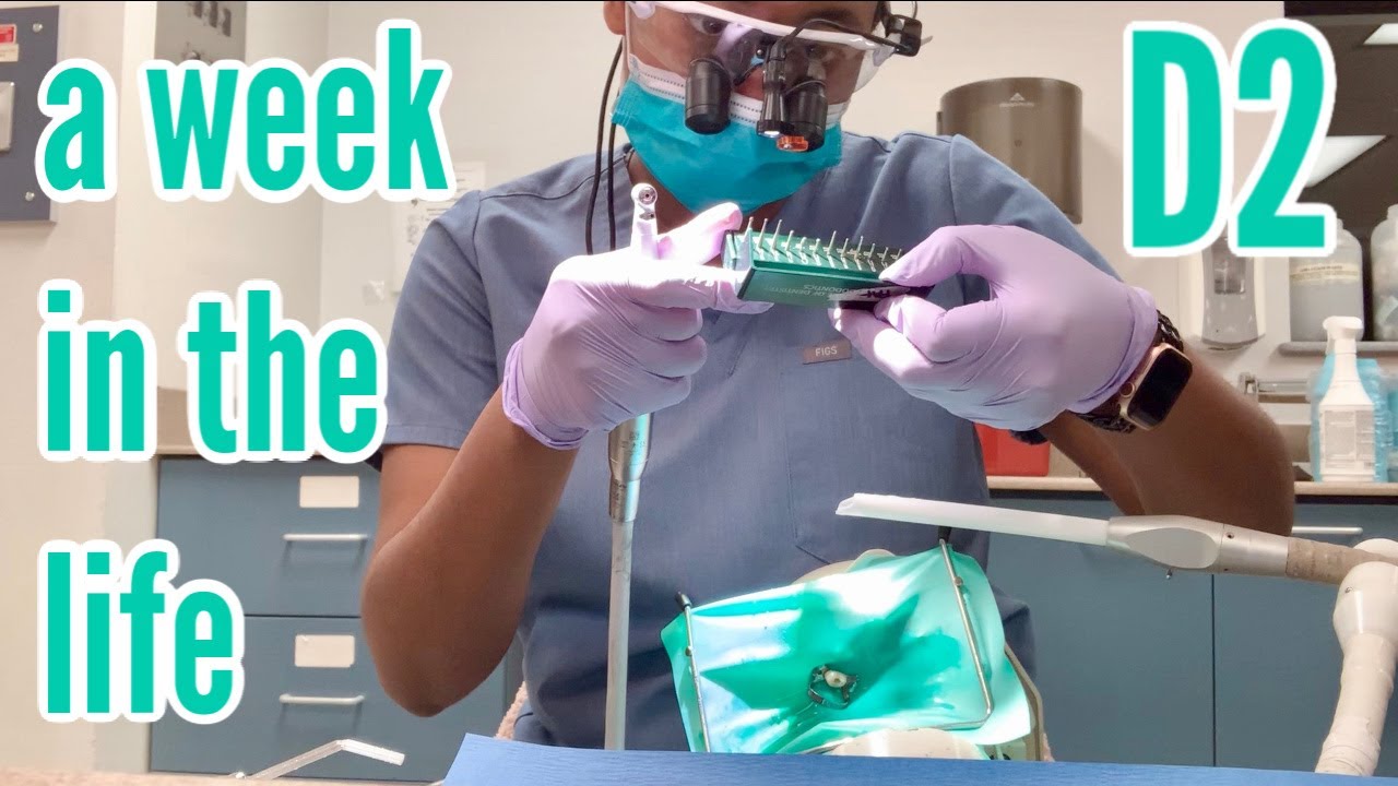 A CRAZY Week in the Life of a 2nd Year Dental Student || VLOG
