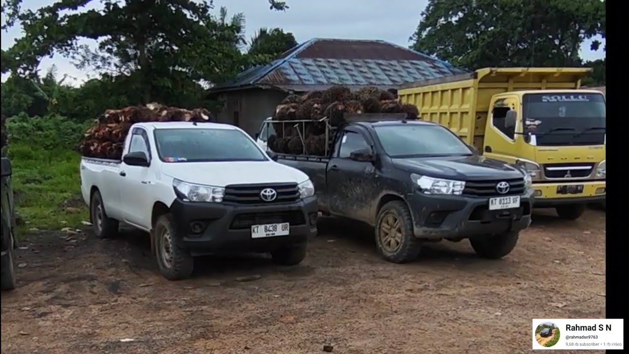  Hilux baru vs Hilux lama, Meski sudah berumur Namun semangat tak perna luntur terus lah bertempur, 