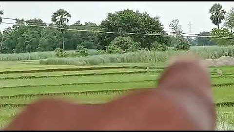 #Nobatpur #investment #10lakhs/Kattha #plots Sale Near Nobatpur Lakh #3Bigha #onhighway #onroad