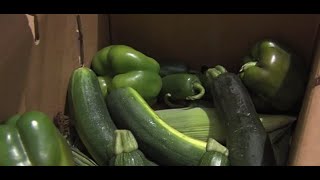 Publix donating food bought from farmers