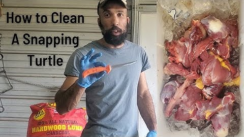 How to Clean a Snapping Turtle with Just a Knife