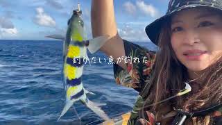 日本一上陸困難な島の魚影が凄すぎる。