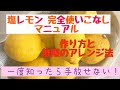 【塩レモン完全使いこなしマニュアル】作り方と無限のアレンジ法