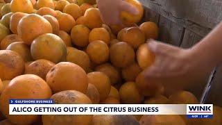 Alico Inc. CEO explains shift away from citrus industry