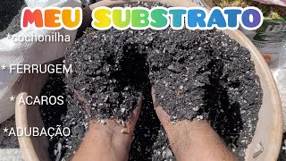 Tudo que eu uso no meu substrato, mais dicas de tratamento cochonilha, ferrugem, adubação 🌵