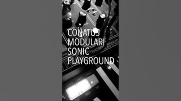 Matriarch Tape Effect #shorts [Sonic Playground]