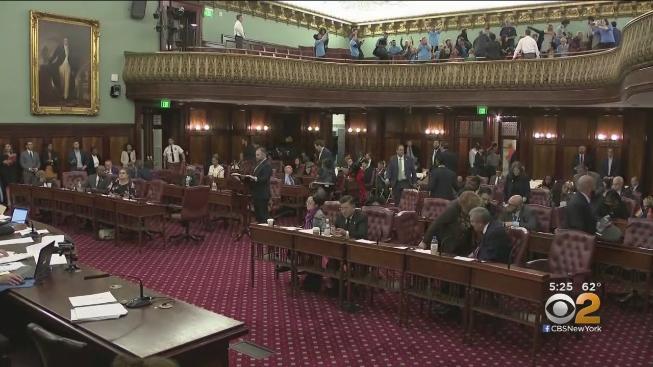 NYC Council Passes Animal Welfare Bills