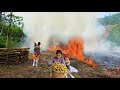 Single mother burns leaves to start plans for new home: Harvesting lychees to sell