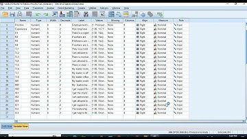 SPSS Data Cleaning & Variable Transformation: Human Errors Detection & Missing Values.