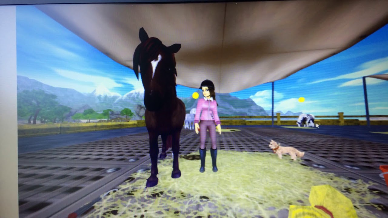 Star Stable Welches Pferd Passt Zu Mir