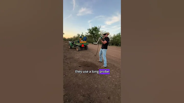 Cannon Whack-a-Mole #funny #funnyvideo #fun #funnyvideos #popular #science #knowledge