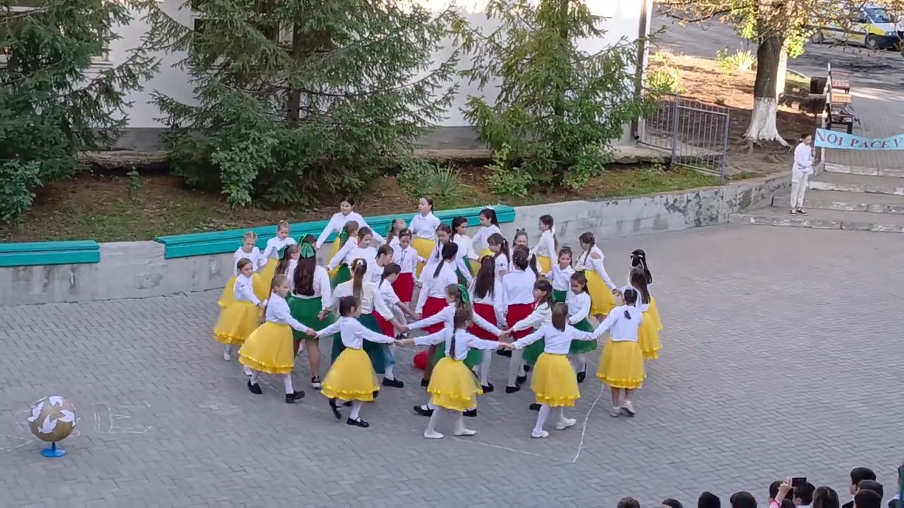 Pace între noi!  IP Gimnaziul Codreanca