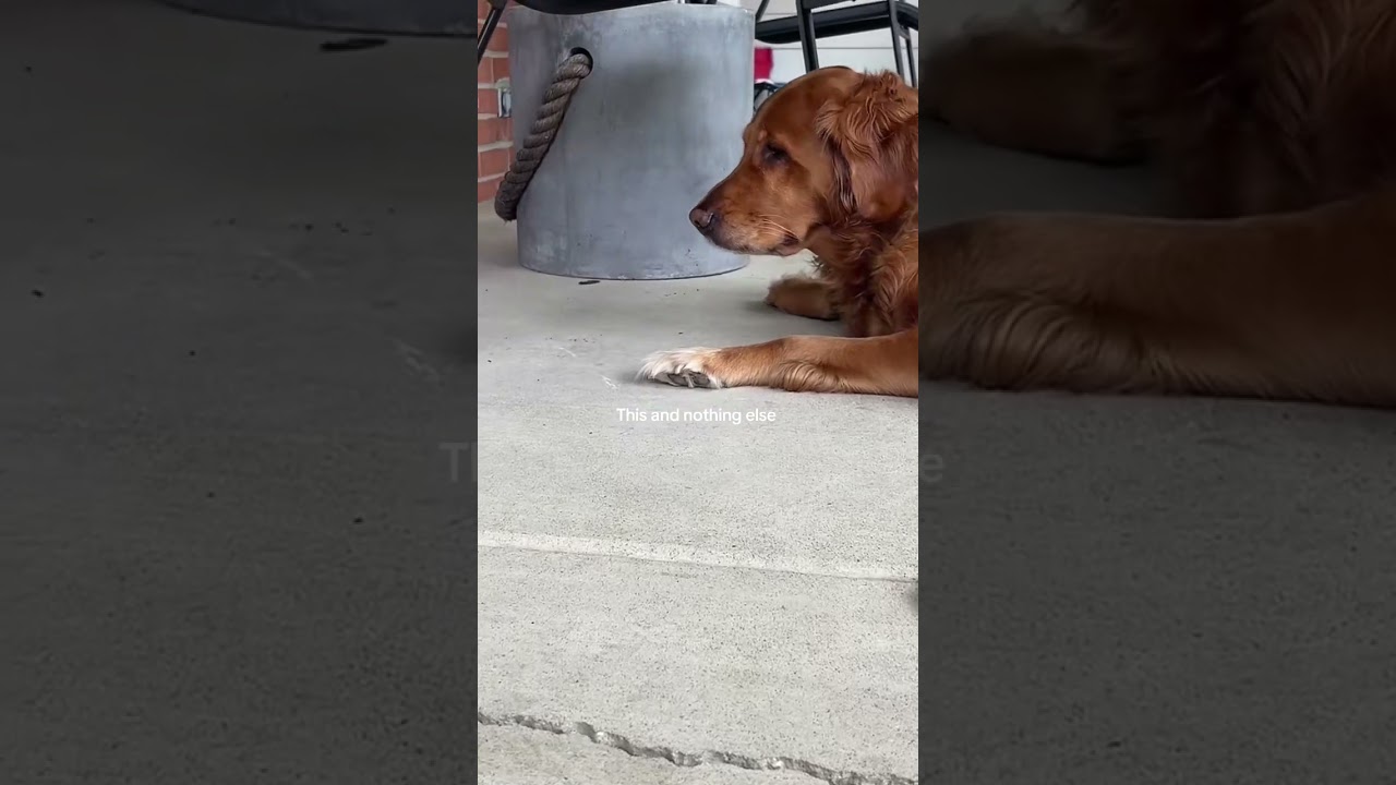 Precious Moments: Mother and Child Bonding on the Porch