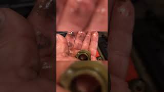 The Culprit! Bad Clutch Dog and Worn Gear - YouTube