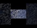 Dji mini 2 #drone #viral #dji #djimini2 #djimini #winterwonderland #droneclips