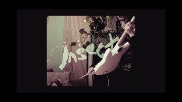 Placement - "Insect" (Official Music Video)"