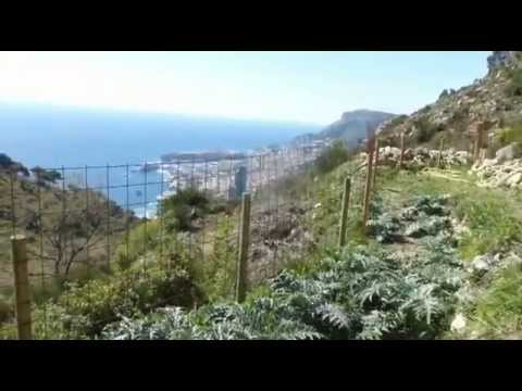 Risotto al Domaine d'Agerbol