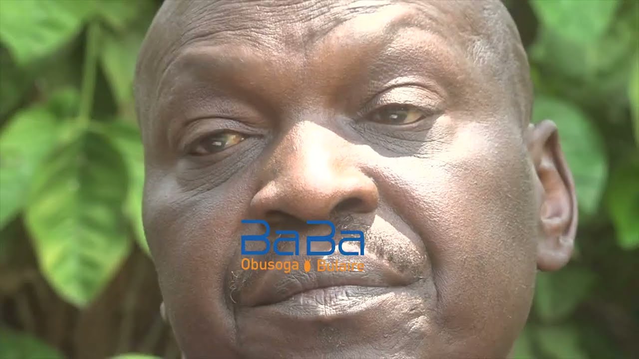 The B'amasaaba Are Bitter onto This Years Imbalu Circumcission Festival Slated For August 2026