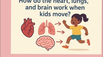 12.11.25 How Do Heart, Lungs, and Brain Work When We Move?