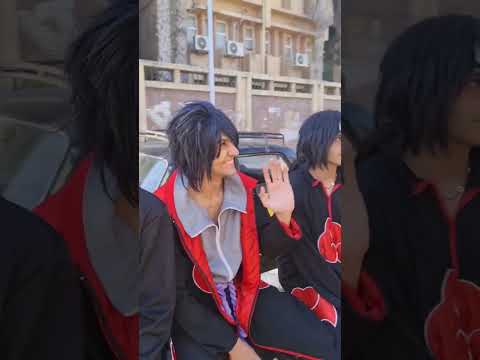 الاكاتسوكي في شوارع الإسكندرية