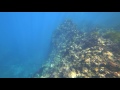 2016-09-03 ヒリゾ浜 #6 | アオリイカ | シュノーケリング | 4K | FDR-X3000 | Action Cam | Sony