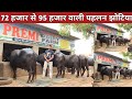 72 हजार से 95 हजार वाली गजब पहलन झोटिया || Premi Dairy Farm, Sirsa (9466028782)