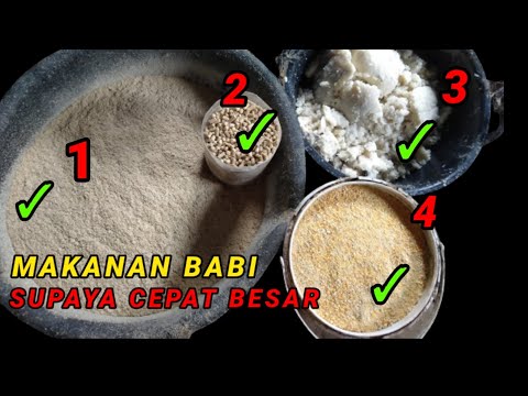 Video: Ladang ayam Rusia: senarai perusahaan terbesar