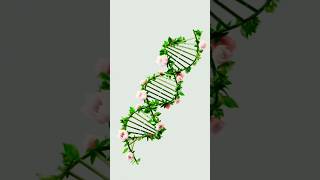 Toothpaste vs Miswak? Science Kya Kehta Hai 🤔 Part 3 #sunnah #facts #multiminerals