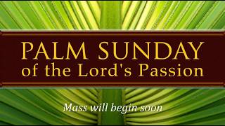 Palm Sunday of the Lord's Passion (Vigil)