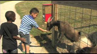 A Trip to Eckert's Farm - BooInTheLou.com