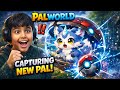 Palworld Ep#43 NEW PAL CAPTURE