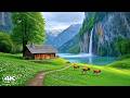 Beautiful Calming Music for the Nervous System 🌿Relaxing Music, Reduces Stress & Deep Sleep