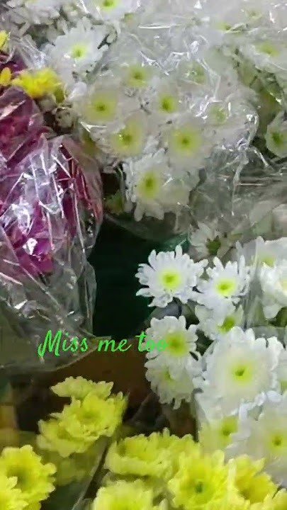 flowers 🌺🌹 for all