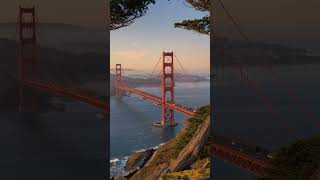 #baby #voice #shorts #song #video #viral  #viralvideo #youtubeshorts  #ytshorts #animal