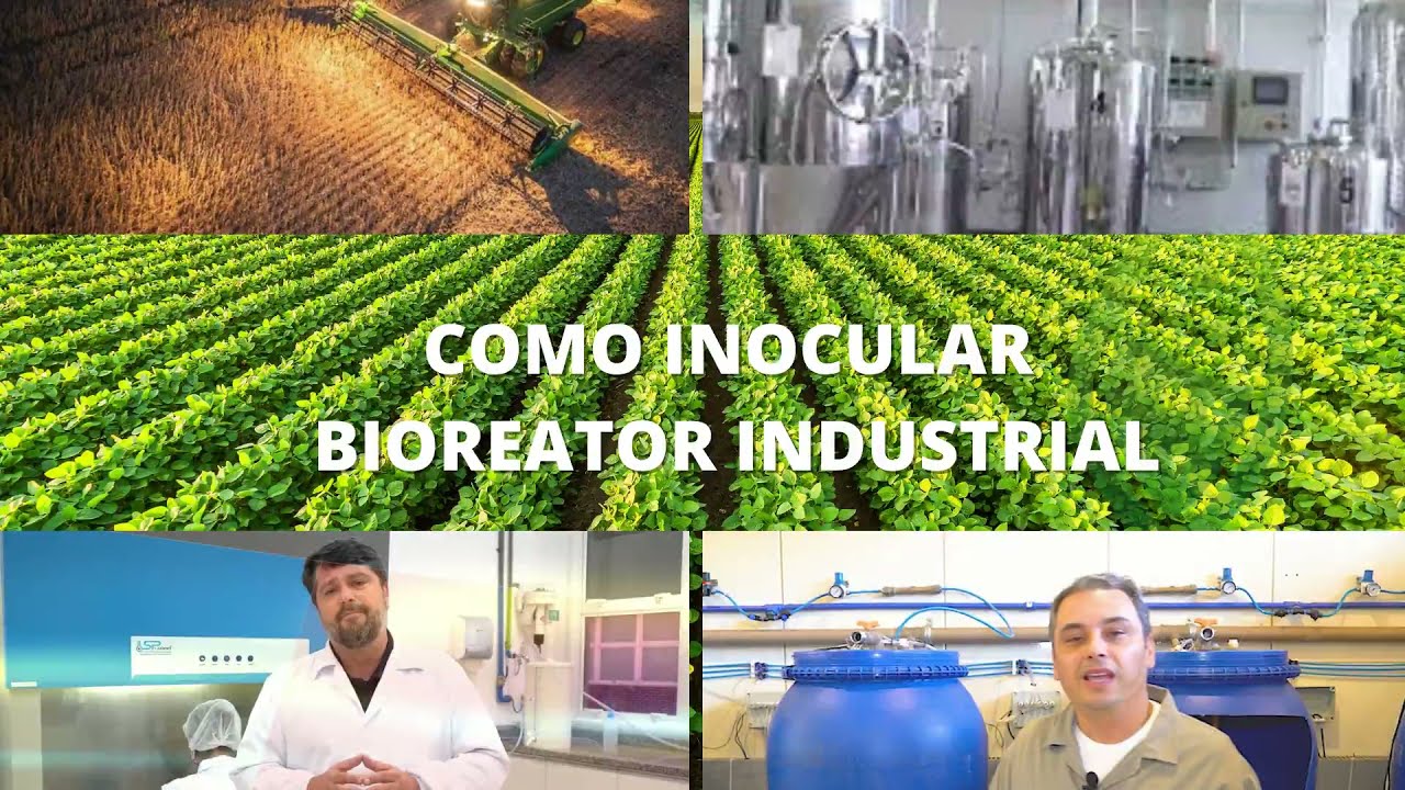 Como inocular um bioreator industrial I Bioinsumos Brasil