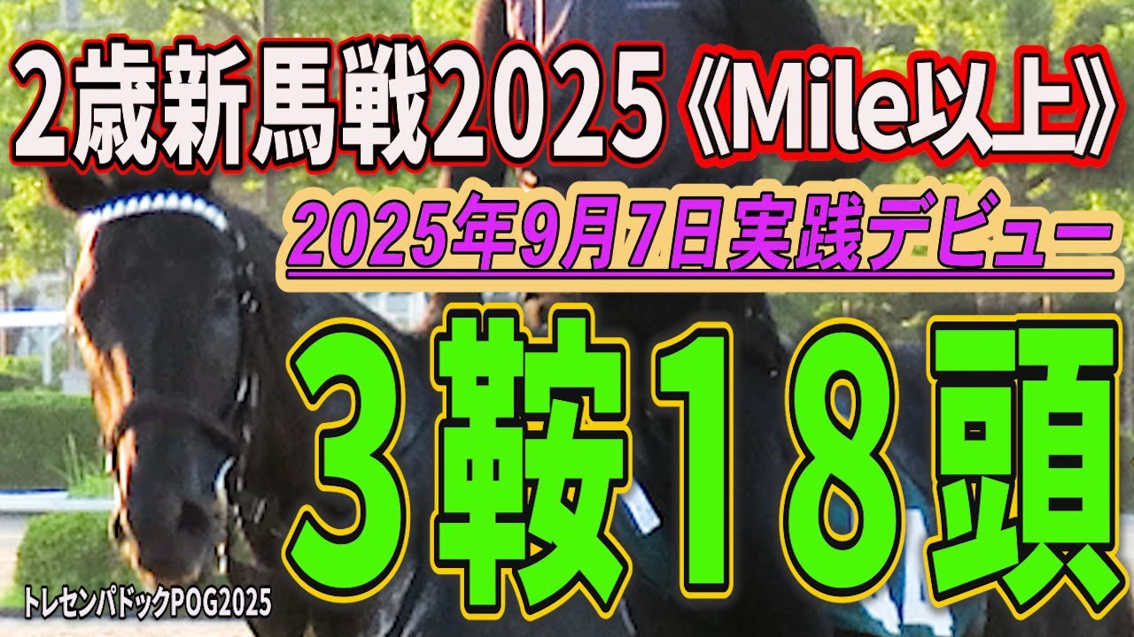 2歳新馬戦2025】3鞍出走18頭の若駒の姿を。2025年9月7日