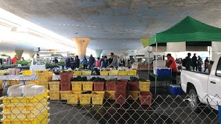 Business at Sacramento farmers market picks back up during coronavirus pandemic