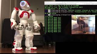 SoftBanks NAO and Pepper as an espionage tool @IOActive