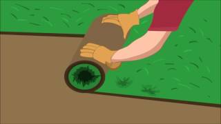 Landscape Garden Design Mckinney, Plano, Allen, Fairview, And Lucas