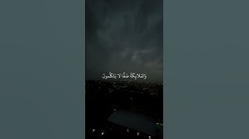 القارئ : عبد الرحمن مسعد ﴿ يَوْمَ يَقُومُ الرُّوحُ وَالْمَلَائِكَةُ صَفًّا ۖ﴾[ سورة النبأ: 38]